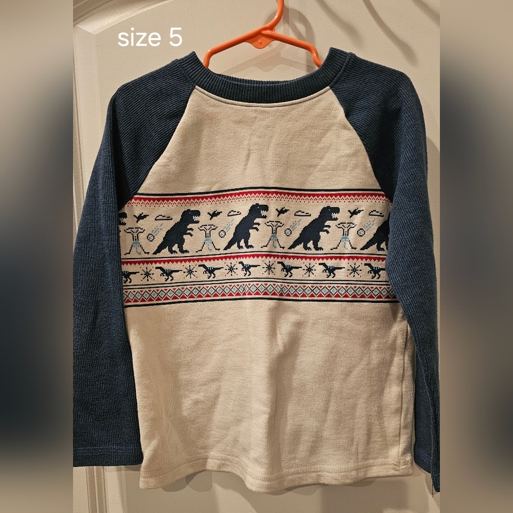 Boys dinosaur sweater